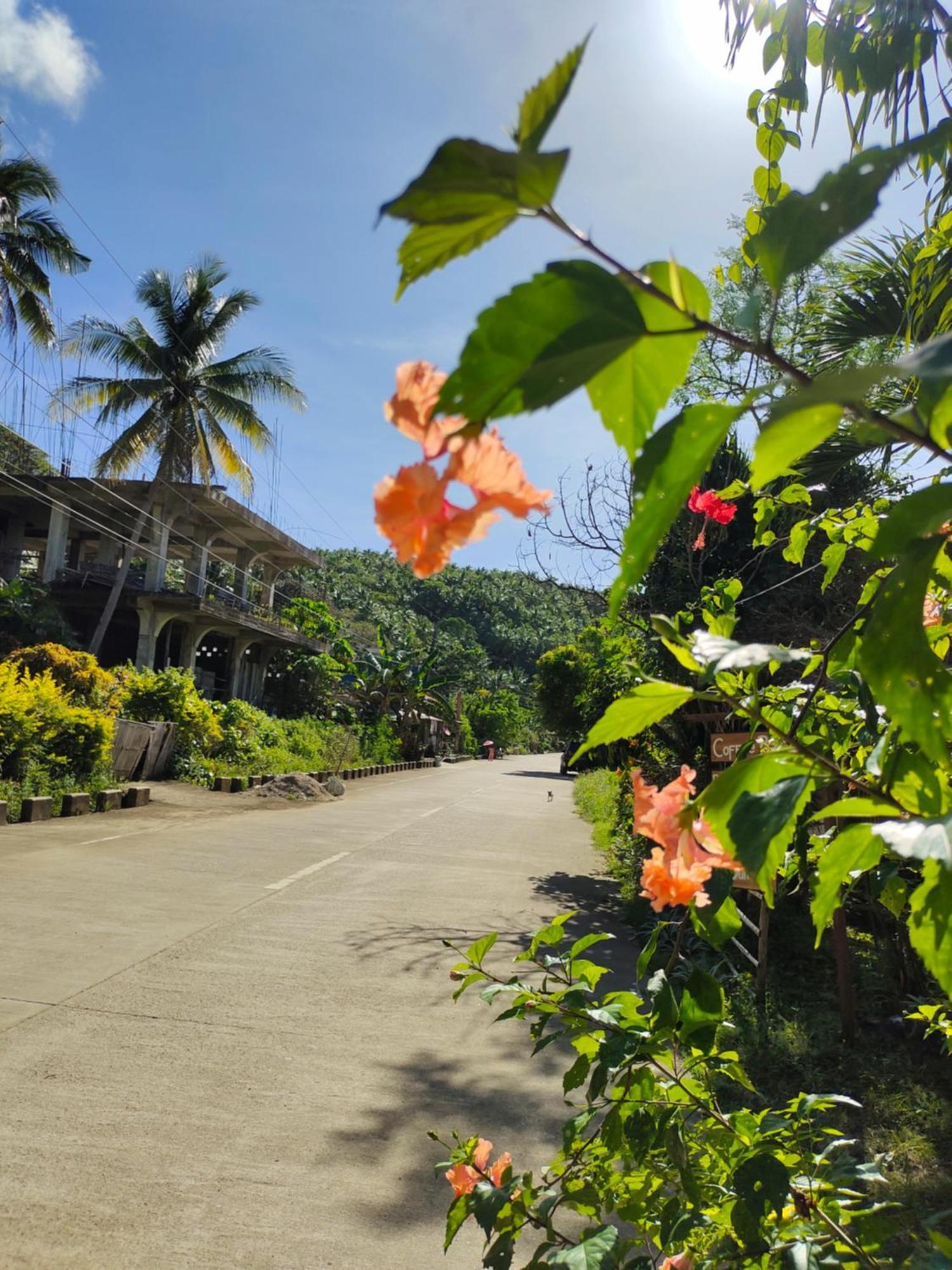 Reggae Vibes Bali Inspired Cottage Romblon Exterior foto